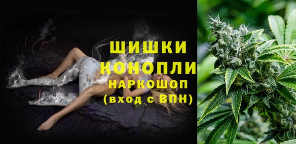амф Сосновоборск