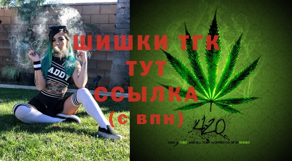амф Сосновоборск