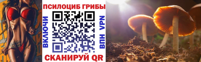 где найти наркотики Холм блэк спрут как зайти даркнет наркотические препараты Галлюциногенные грибы Psilocybine cubensis