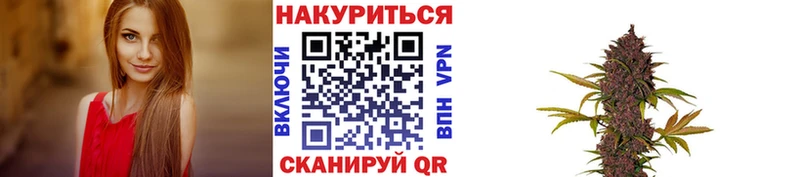 блэк спрут ТОР маркетплейс наркотические препараты Холм Бошки марихуана гибрид даркнет сайт